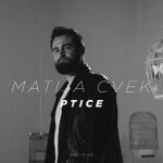 Matija Cvek Ptice