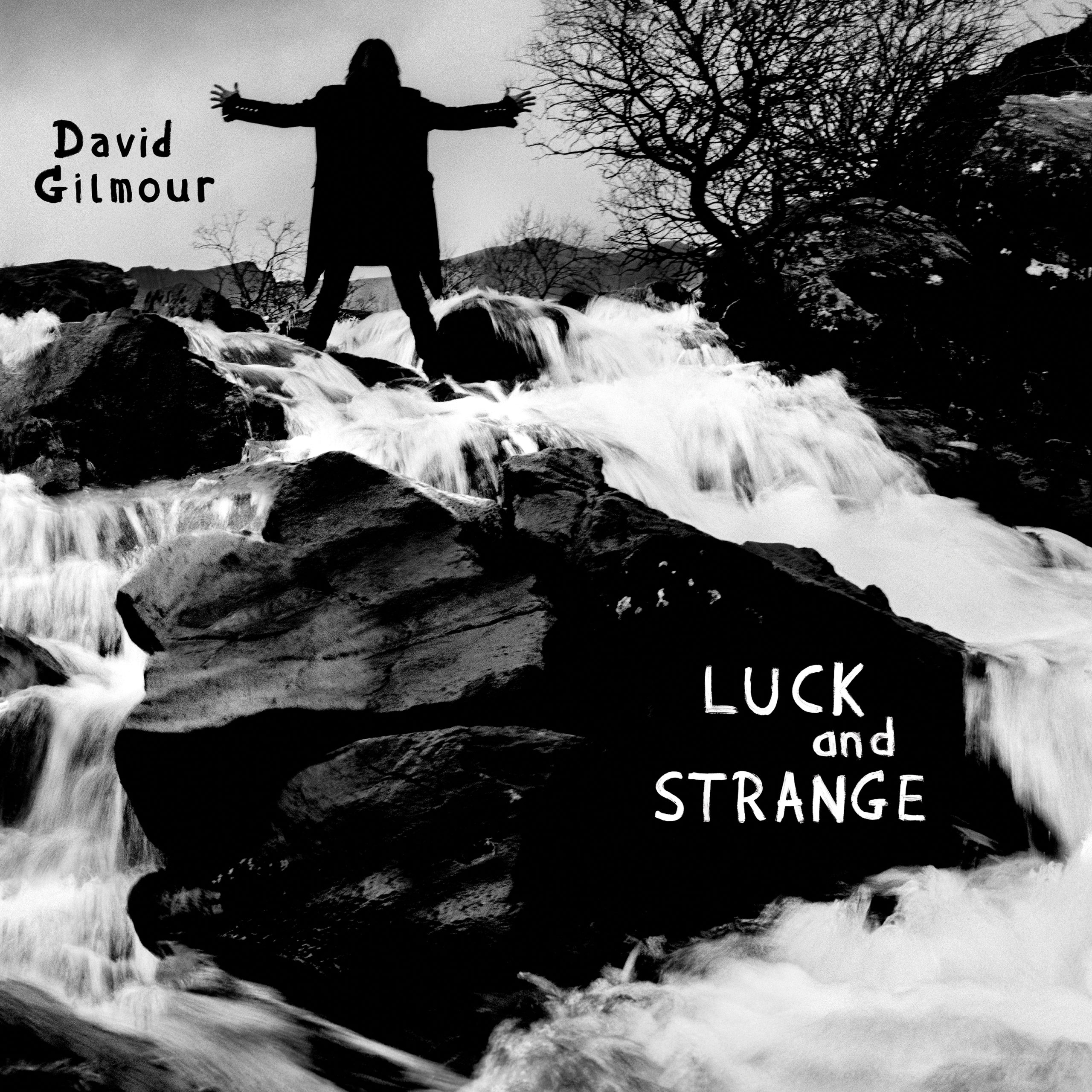 David Gilmour - Luck and Strange - Flat Cover Gilmor