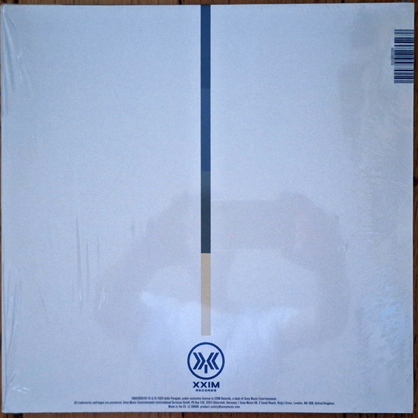 GoGo Penguin – Necessary Fictions 2LP,back 2025